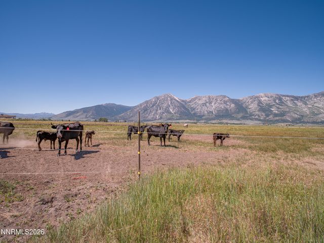 1225 Highway 88, Gardnerville, NV 89460