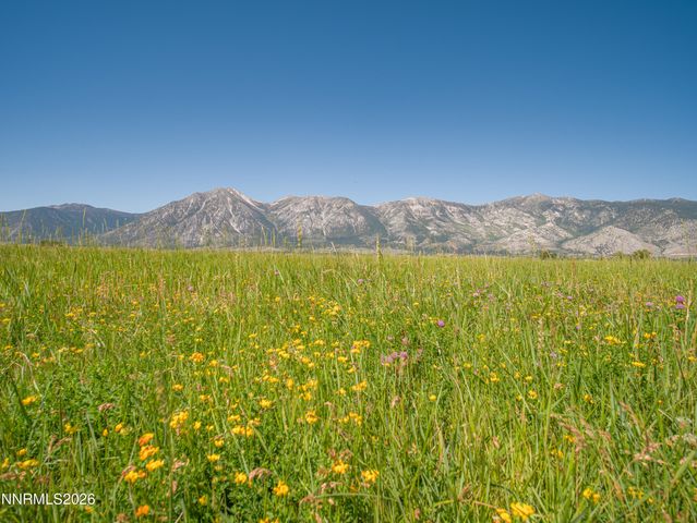 1225 Highway 88, Gardnerville, NV 89460