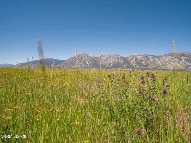 1225 Highway 88, Gardnerville, NV 89460