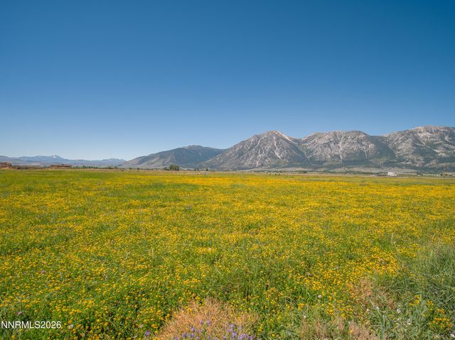 1225 Highway 88, Gardnerville, NV 89460