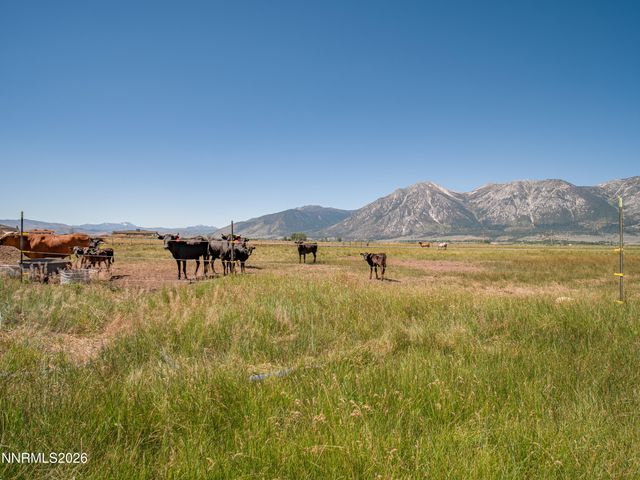 1225 Highway 88, Gardnerville, NV 89460