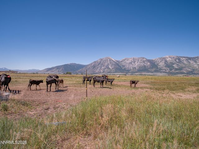1225 Highway 88, Gardnerville, NV 89460