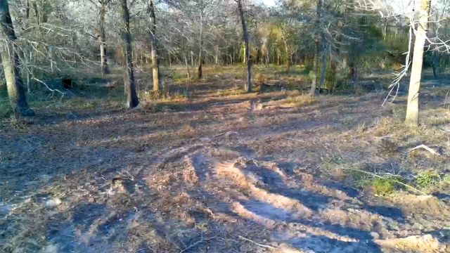 00 Derrick Road, Navasota, TX 77868