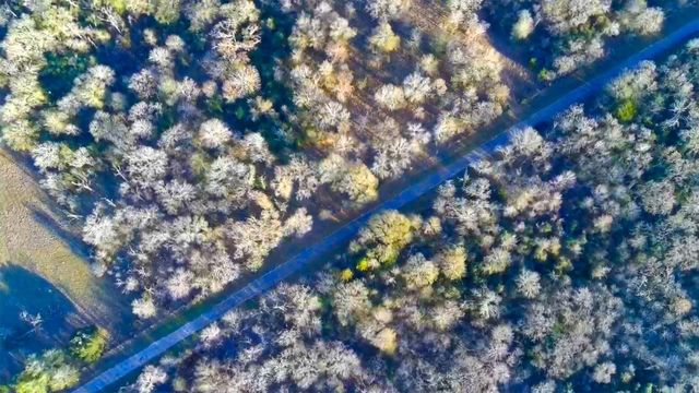 00 Derrick Road, Navasota, TX 77868