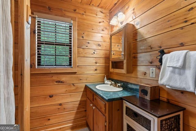 294 Oakwood Trail, Mineral Bluff, GA 30559