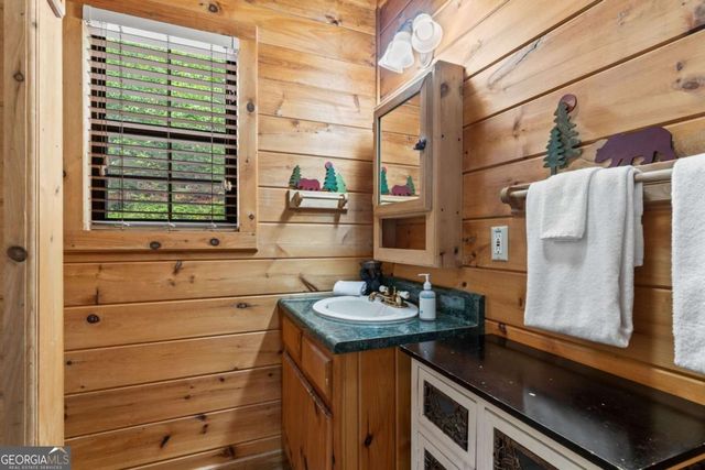 294 Oakwood Trail, Mineral Bluff, GA 30559
