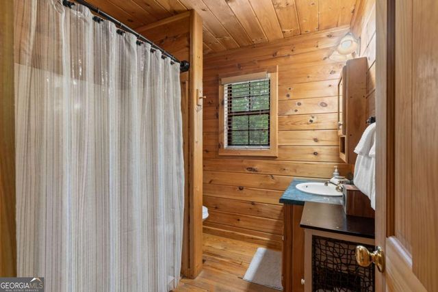 294 Oakwood Trail, Mineral Bluff, GA 30559