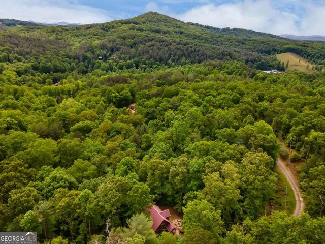 294 Oakwood Trail, Mineral Bluff, GA 30559