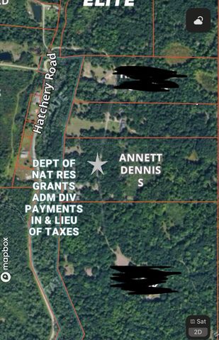 259 Hatchery Road, Farwell, MI 48622