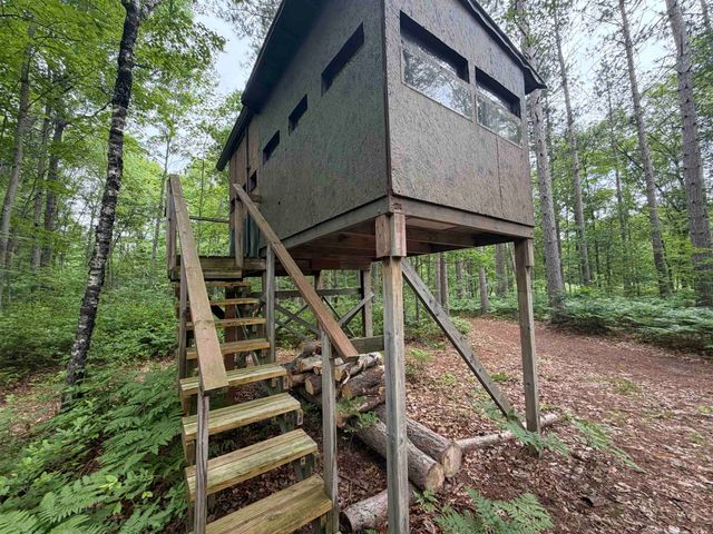 259 Hatchery Road, Farwell, MI 48622
