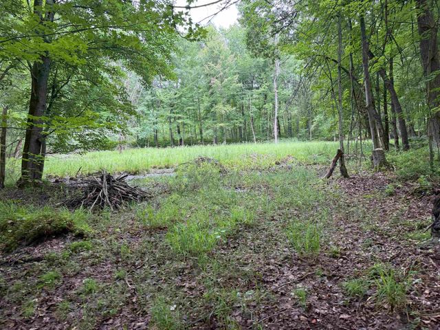 259 Hatchery Road, Farwell, MI 48622