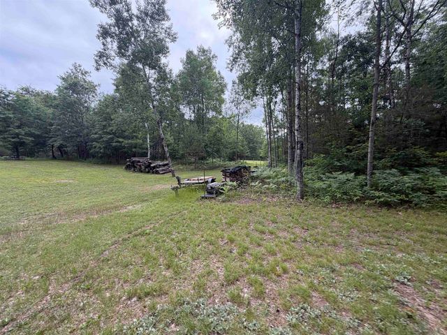259 Hatchery Road, Farwell, MI 48622
