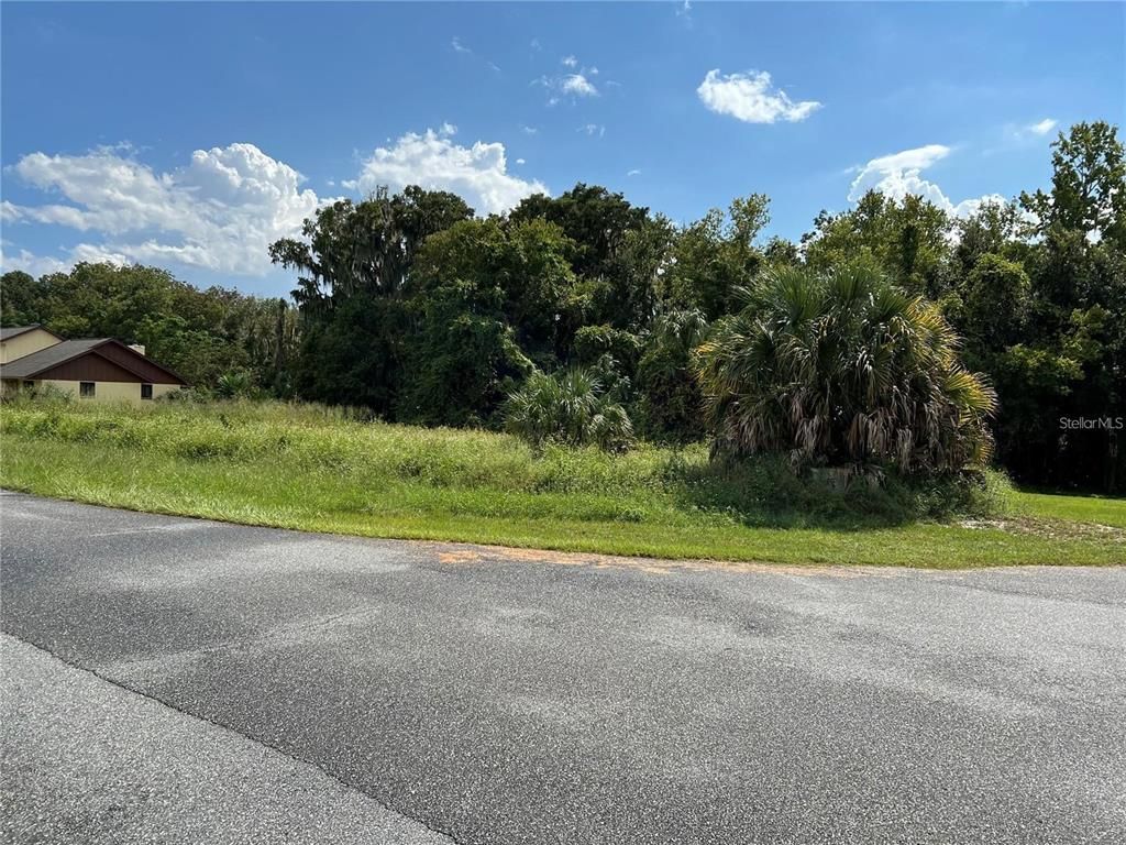 REDTREE DRIVE, Leesburg, FL 34748