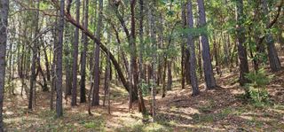 Pinecrest Drive, Grants Pass, OR 97526