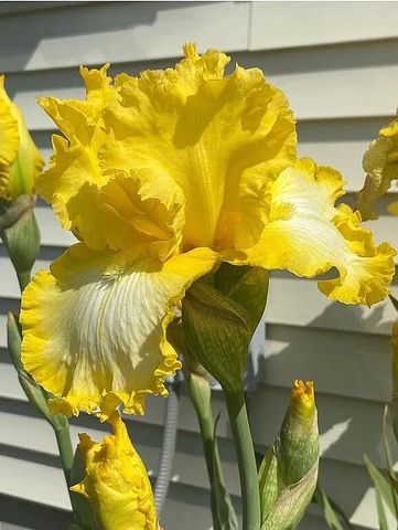 8433 Rolling, Grant Twp, MI 49327