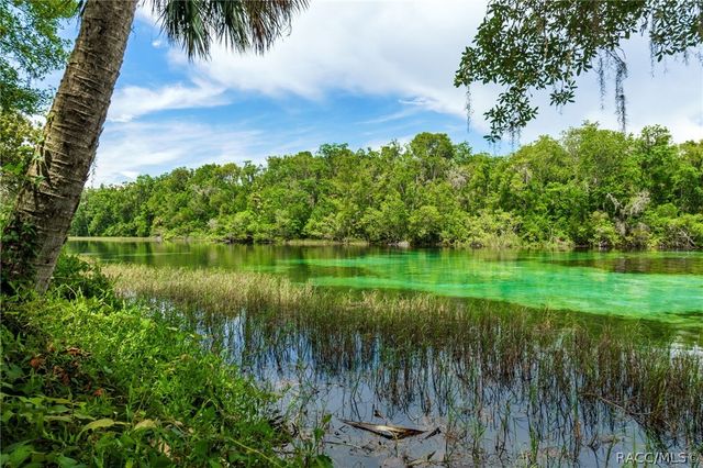 7145 SW 181st Avenue, Dunnellon, FL 34432
