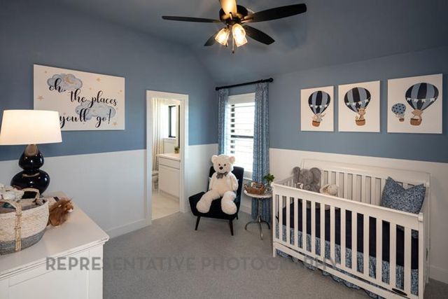 236 Belanger Canyon DR, Liberty Hill, TX 78642