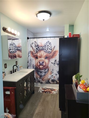 3855 Lincoln Avenue, Shadyside, OH 43947