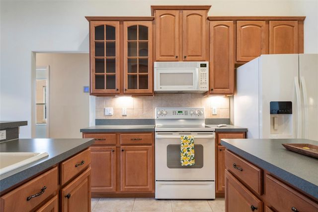 10060 CHARDONNAY DRIVE, Orlando, FL 32832