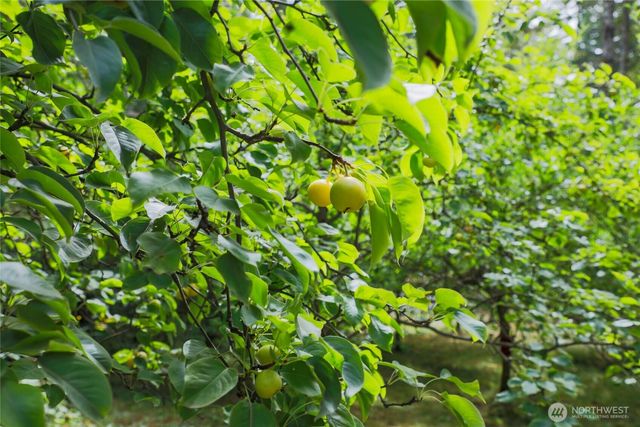 181 E Elaine Place, Belfair, WA 98528