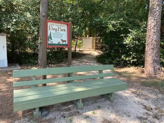 284 Pleasant Hill Lane, Holly Lake Ranch, TX 75765