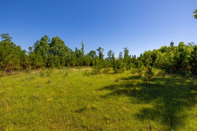 0 White Oak Rd, Stewart, TN 37175