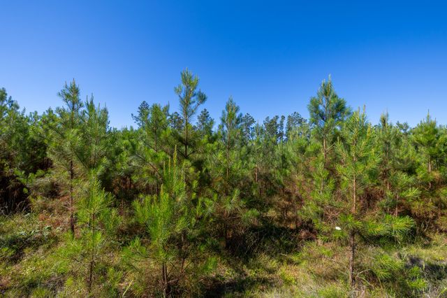 0 White Oak Rd, Stewart, TN 37175