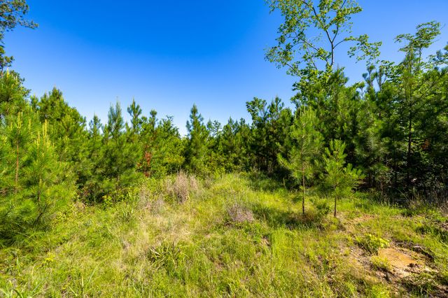 0 White Oak Rd, Stewart, TN 37175
