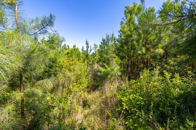 0 White Oak Rd, Stewart, TN 37175