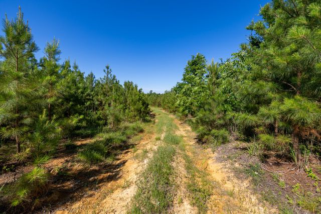 0 White Oak Rd, Stewart, TN 37175