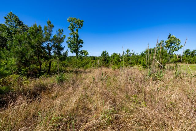 0 White Oak Rd, Stewart, TN 37175