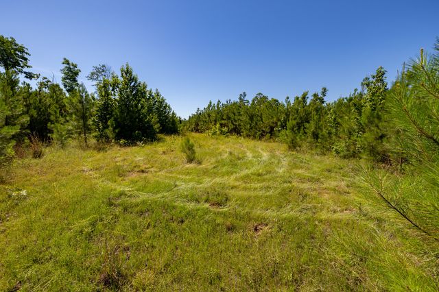 0 White Oak Rd, Stewart, TN 37175