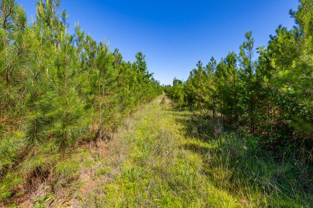 0 White Oak Rd, Stewart, TN 37175