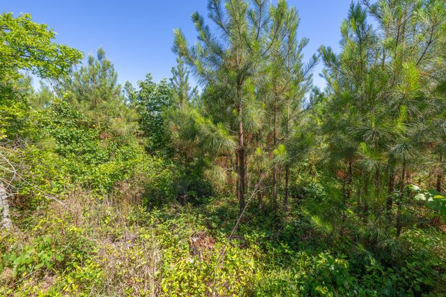 0 White Oak Rd, Stewart, TN 37175