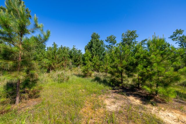 0 White Oak Rd, Stewart, TN 37175