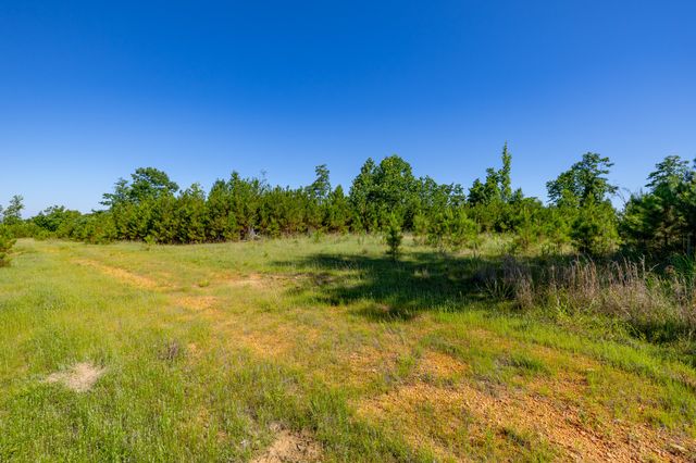 0 White Oak Rd, Stewart, TN 37175