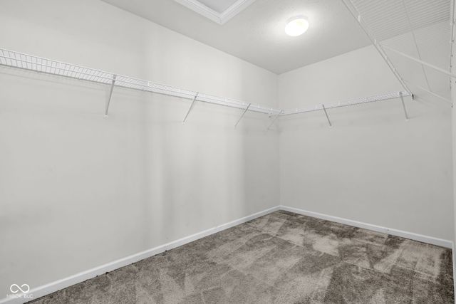 5644 Broadcaster Lane, Plainfield, IN 46168