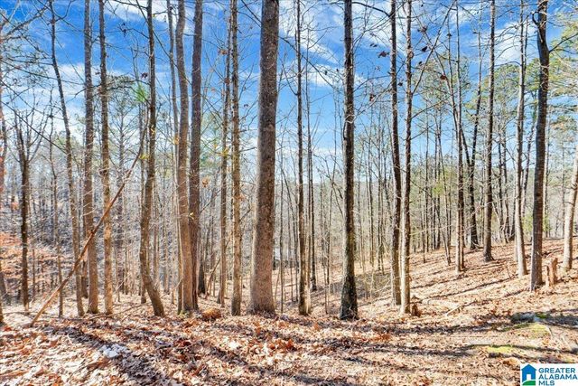 109 HUNSET MILL LANE, Pelham, AL 35124