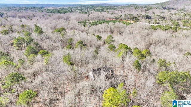 109 HUNSET MILL LANE, Pelham, AL 35124