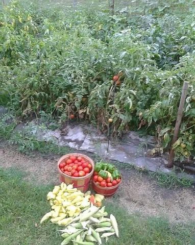 9235 Ruth Road, Rosharon, TX 77583