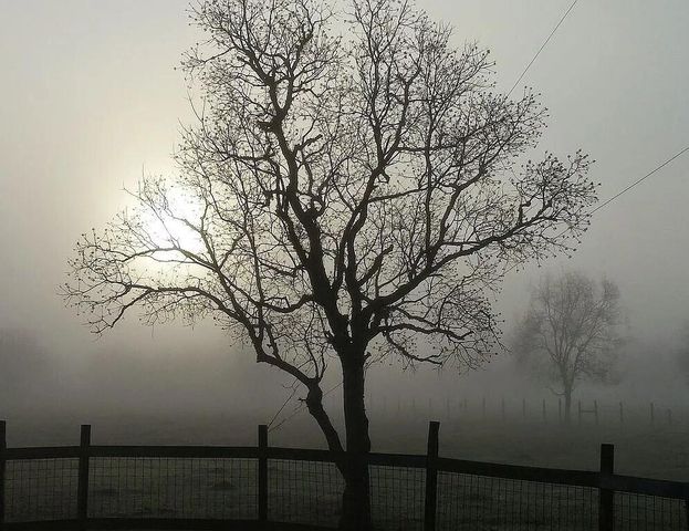 9235 Ruth Road, Rosharon, TX 77583