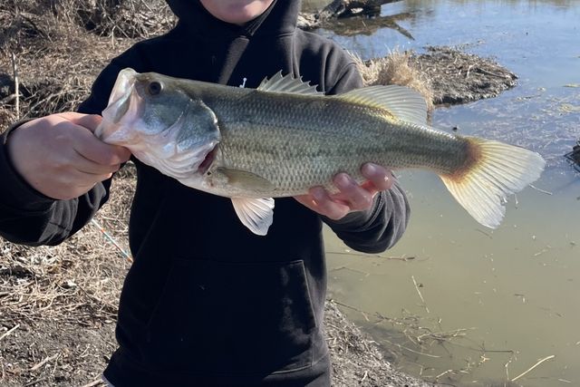 707 Cullins Road, Rockwall, TX 75032