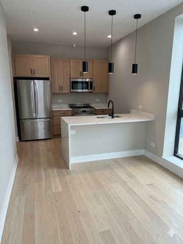 1073 W Polk Street 3, Chicago, IL 60607