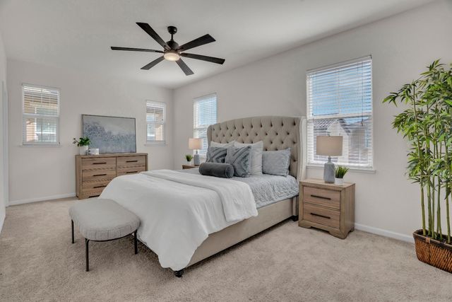 17125 Laurel Oak Ln, Lathrop, CA 95330