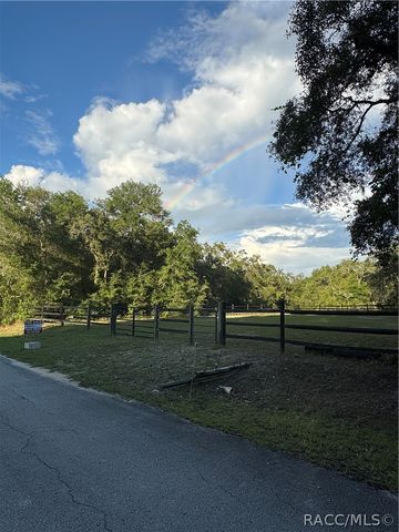 6507 N Iris Drive, Hernando, FL 34442