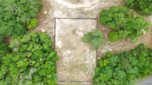 6507 N Iris Drive, Hernando, FL 34442