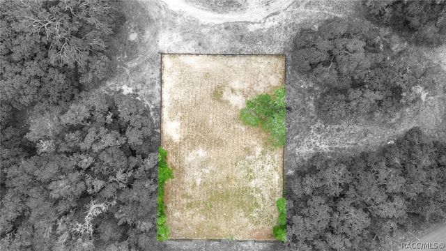6507 N Iris Drive, Hernando, FL 34442