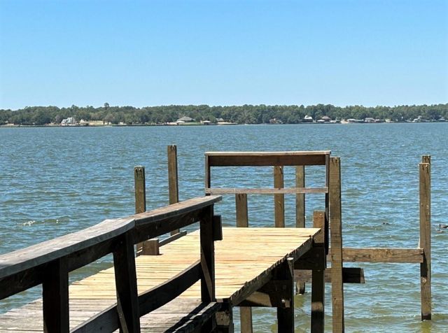 0 Willowick Lane, Livingston, TX 77351