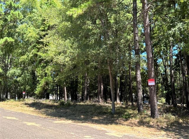 0 Willowick Lane, Livingston, TX 77351