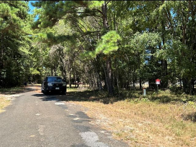 0 Willowick Lane, Livingston, TX 77351